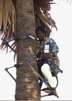 Coconut Climber - Tree climber
