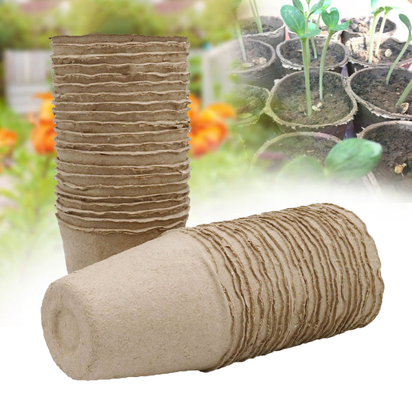 pulp pots for plants Biodegradable - Pulp Pots for Plants – Etcetera Maldives