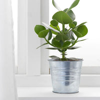 SOCKER - Plant Pot - galvanized - 12cm