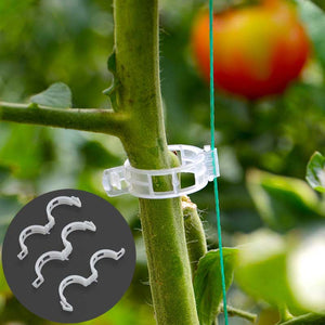 PLASTIC PLANT SUPPORT CLIPS