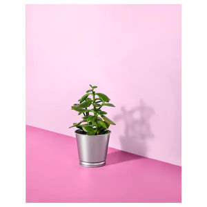 BINTJE - Plant Pot