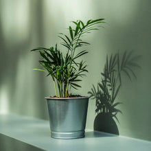 Load image into Gallery viewer, BINTJE - Plant Pot
