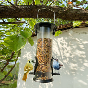 Hanging Bird Feeder Dispenser