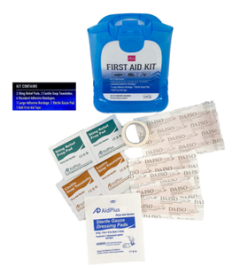 Mini First Aid Kit-Daiso