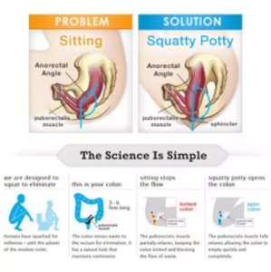 Potty Toilet Stool